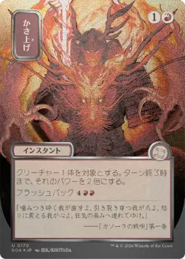 かさ上げ Bulk Up 日本語 シルバースクロールFoil